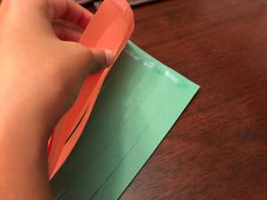 21082284_10155527867306000_314540595_o